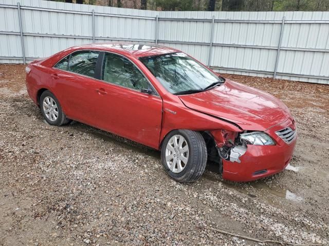 2009 Toyota Camry Hybrid