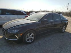 Salvage cars for sale at Indianapolis, IN auction: 2020 Hyundai Sonata SE