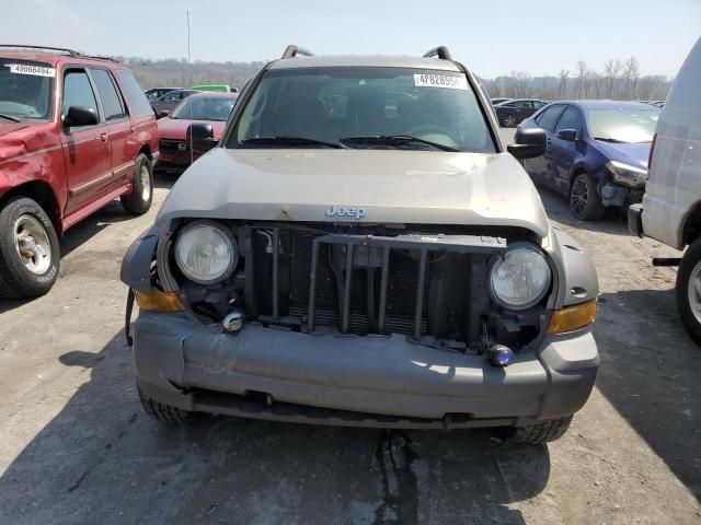 2006 Jeep Liberty Renegade