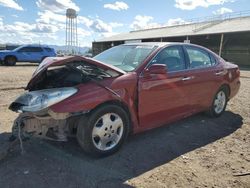 Salvage cars for sale at Phoenix, AZ auction: 2004 Lexus ES 330