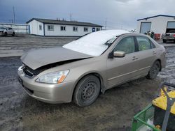 Honda Accord Hybrid salvage cars for sale: 2005 Honda Accord Hybrid