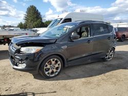 Ford Escape SEL salvage cars for sale: 2013 Ford Escape SEL