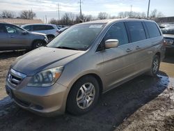Salvage cars for sale from Copart Columbus, OH: 2005 Honda Odyssey EX