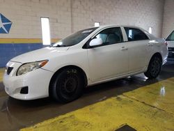 Salvage cars for sale from Copart Indianapolis, IN: 2009 Toyota Corolla Base