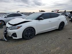 Salvage cars for sale at Antelope, CA auction: 2019 Nissan Maxima S