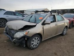 Toyota salvage cars for sale: 2010 Toyota Corolla Base