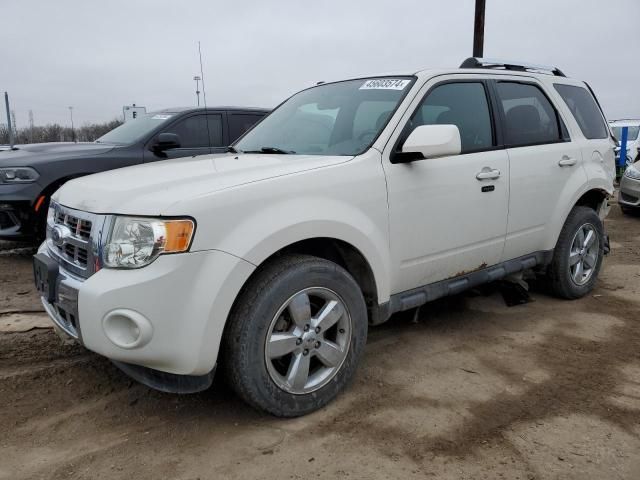 2011 Ford Escape Limited