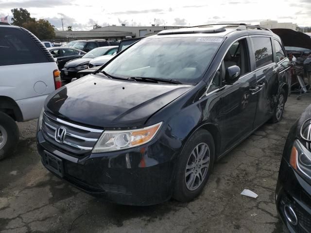 2013 Honda Odyssey EXL