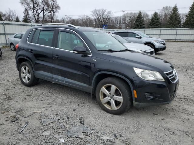 2010 Volkswagen Tiguan SE