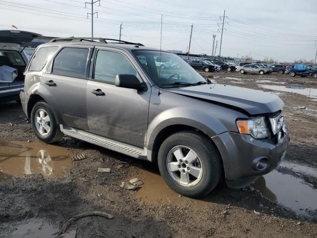 2010 Ford Escape XLT