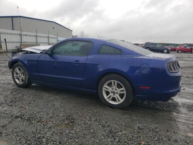 2013 Ford Mustang