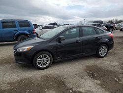 Salvage cars for sale at Indianapolis, IN auction: 2017 Ford Focus SE