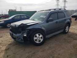 Salvage cars for sale at Elgin, IL auction: 2012 Ford Escape XLT