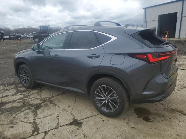 2024 Lexus NX 350 Base