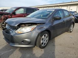 Ford Focus S salvage cars for sale: 2013 Ford Focus S