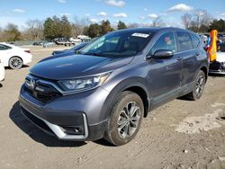 Honda salvage cars for sale: 2020 Honda CR-V EXL