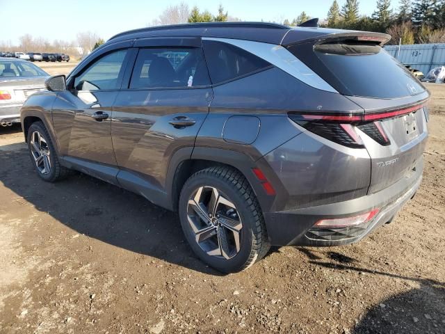 2023 Hyundai Tucson Luxury