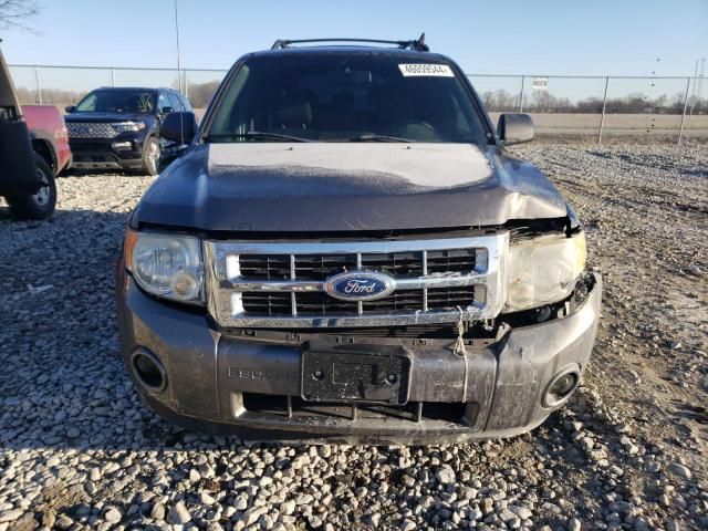 2008 Ford Escape XLT