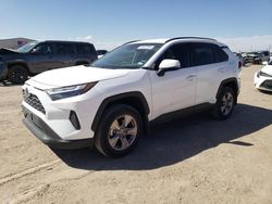 Salvage cars for sale from Copart Amarillo, TX: 2022 Toyota Rav4 XLE