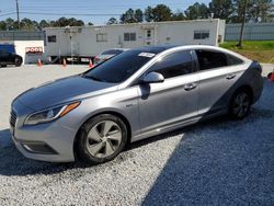 Hyundai Sonata Hybrid salvage cars for sale: 2016 Hyundai Sonata Hybrid