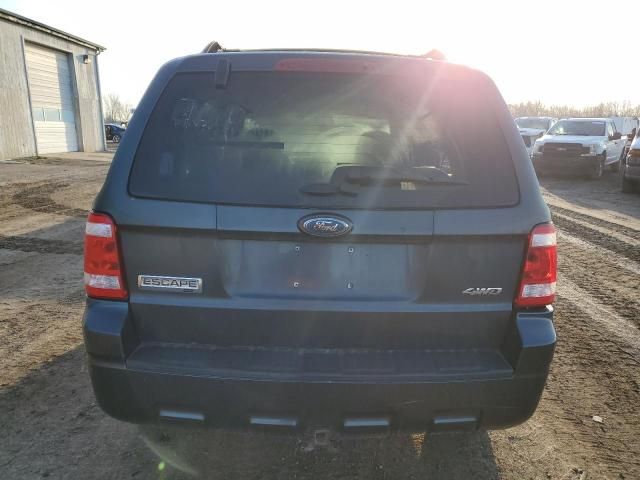 2008 Ford Escape XLT