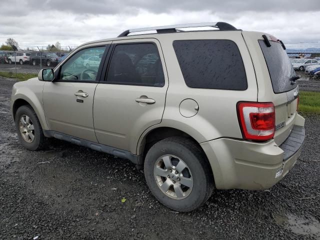 2012 Ford Escape Limited