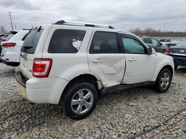 2011 Ford Escape Limited