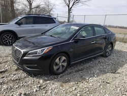 Hyundai salvage cars for sale: 2016 Hyundai Sonata PLUG-IN Hybrid