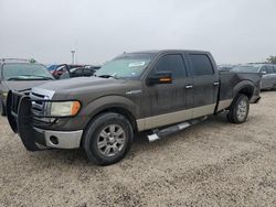 Vehiculos salvage en venta de Copart San Antonio, TX: 2009 Ford F150 Supercrew