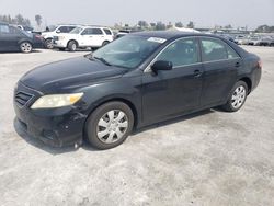 Salvage cars for sale from Copart Sun Valley, CA: 2011 Toyota Camry Base