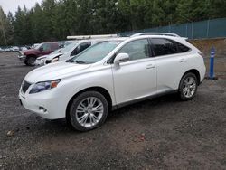 Lexus salvage cars for sale: 2012 Lexus RX 450