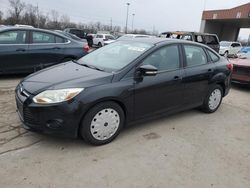 2013 Ford Focus SE for sale in Fort Wayne, IN