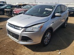 Salvage cars for sale at Elgin, IL auction: 2013 Ford Escape SEL