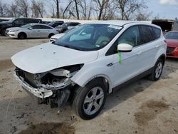 Salvage cars for sale from Copart Bridgeton, MO: 2014 Ford Escape SE