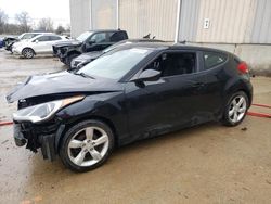 Salvage cars for sale at Lawrenceburg, KY auction: 2013 Hyundai Veloster