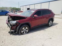 Salvage cars for sale from Copart Apopka, FL: 2019 Toyota Rav4 XLE