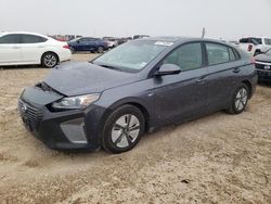 Salvage cars for sale at Amarillo, TX auction: 2019 Hyundai Ioniq Blue