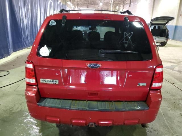 2010 Ford Escape XLT