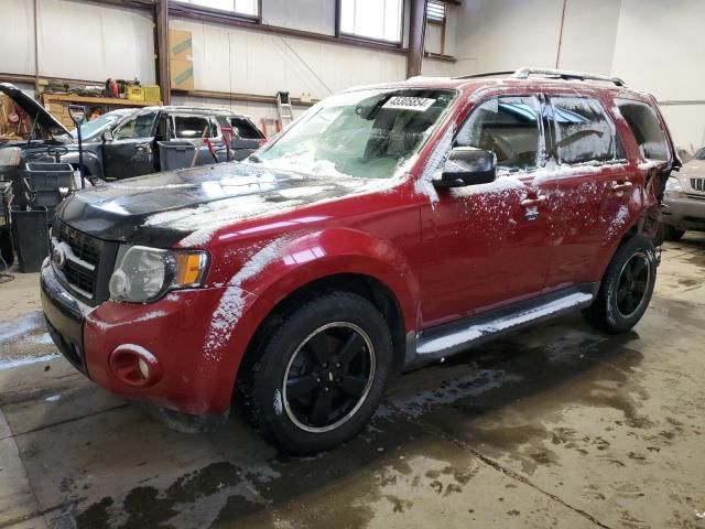 2009 Ford Escape XLT