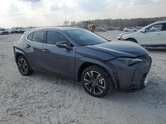 2024 Lexus UX 250H Premium