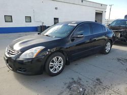 Salvage cars for sale at Farr West, UT auction: 2012 Nissan Altima Base
