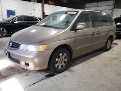 Vehiculos salvage en venta de Copart Blaine, MN: 2004 Honda Odyssey EXL