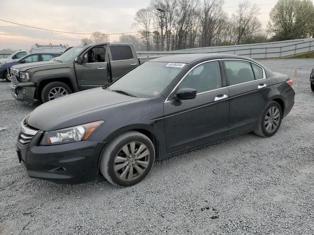 2011 Honda Accord EXL