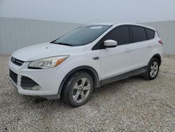 Salvage cars for sale at Arcadia, FL auction: 2016 Ford Escape SE