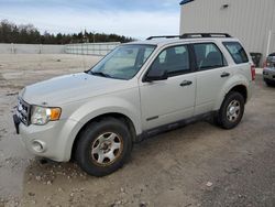 Salvage cars for sale at Franklin, WI auction: 2008 Ford Escape XLS