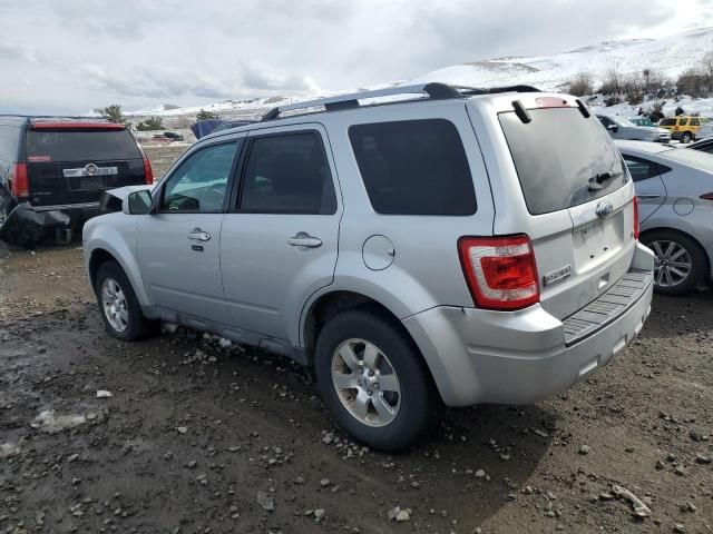 2011 Ford Escape Limited