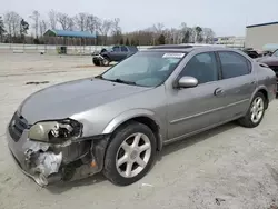 Salvage cars for sale at Spartanburg, SC auction: 2001 Nissan Maxima GXE