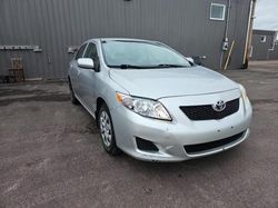 Vehiculos salvage en venta de Copart Moncton, NB: 2009 Toyota Corolla Base