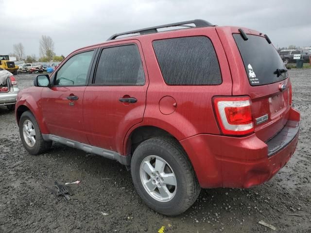 2009 Ford Escape XLT