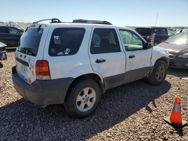 2005 Ford Escape XLT